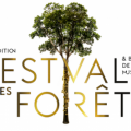 Festival des forets qnq9